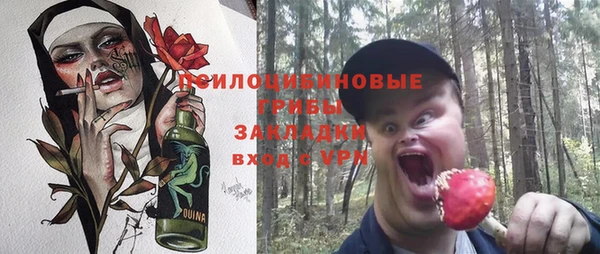 индика Баксан