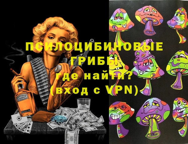 индика Баксан