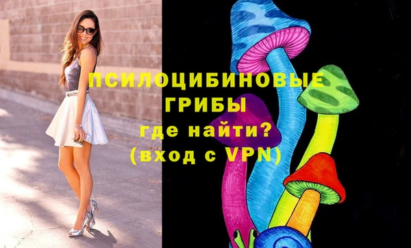 индика Баксан