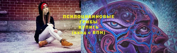 индика Баксан