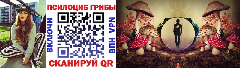 Псилоцибиновые грибы Psilocybe  продажа наркотиков  Борзя 